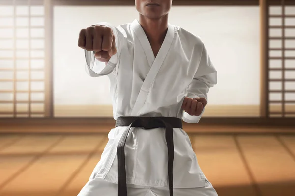 Karate martial arts fighter training