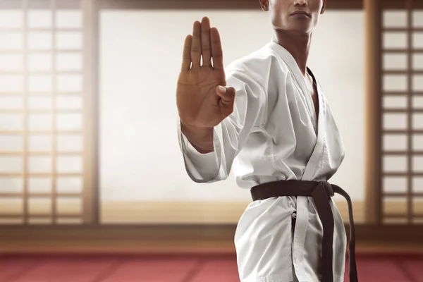 Karate Artes Marciales Entrenamiento Combate —  Fotos de Stock