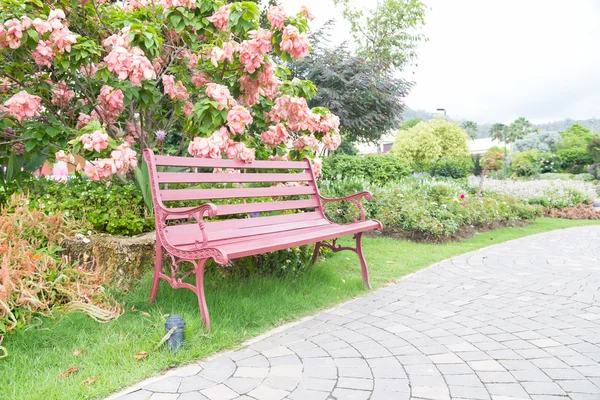 Banc dans le parc — Photo