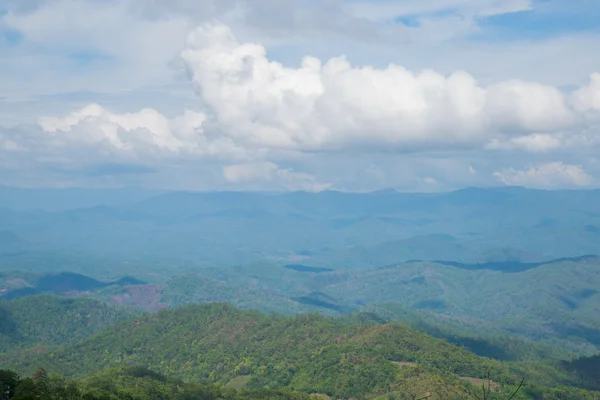 Mountains and forests — Stock Photo, Image