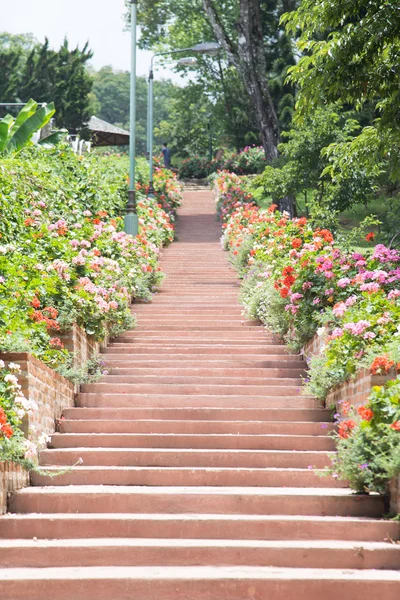Поднимитесь по лестнице в саду — стоковое фото