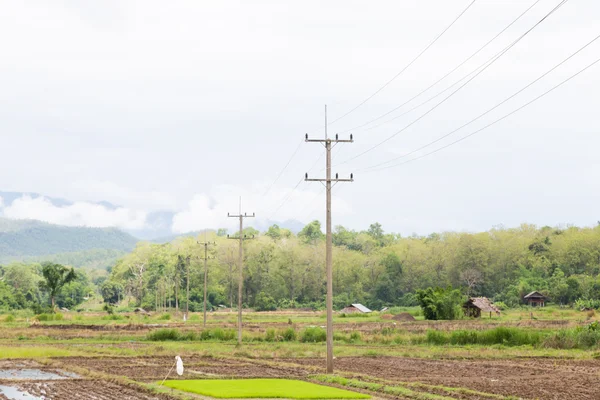 Transmission towers on the mountain. — Stock Photo, Image