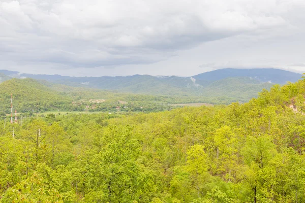 Cobertura florestal nas montanhas — Fotografia de Stock