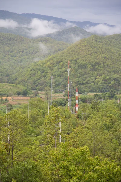 Telecommunications towers in forest — Stock Photo, Image