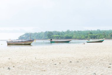 Birçok balıkçı tekneleri