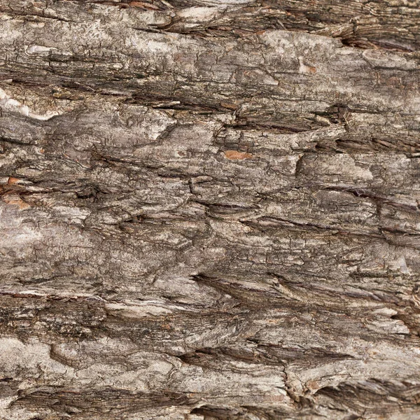 줄무늬 배경 나무 껍질 — 스톡 사진