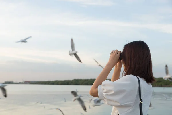 Женщина наблюдает за птицами у моря . — стоковое фото