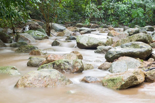 Profunda roca de la selva con musgoso —  Fotos de Stock