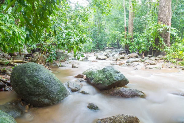 Rocha profunda da selva com musgo — Fotografia de Stock