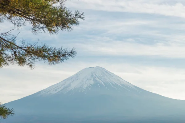 Fuji Dağı Japonya 'da
