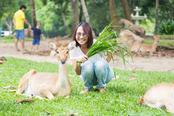 女性は、鹿に食べ物を与える — ストック写真