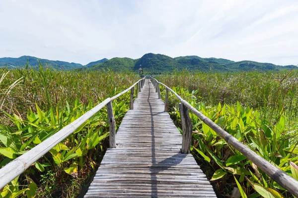 Деревянный мост и пейзажи — стоковое фото