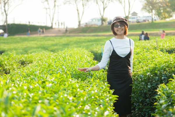 Mulher asiática na plantação de chá — Fotografia de Stock