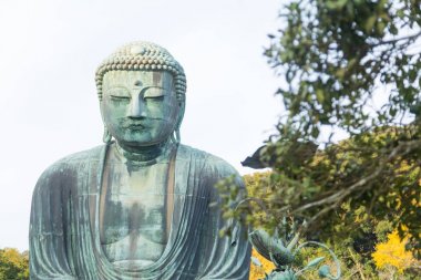Tokyo, Japonya - 15 Kasım 2017: Buda Park