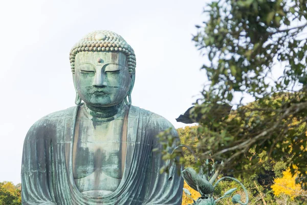 TOKIO, JAPÓN - 15 DE NOVIEMBRE DE 2017: Buda en el parque — Foto de Stock