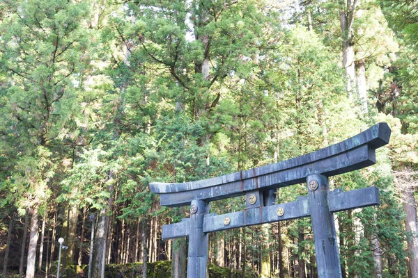 Porte en pierre Temple Toshogu — Photo