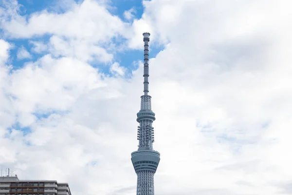 Tóquio céu árvore — Fotografia de Stock