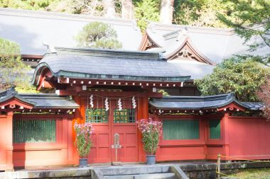Nikko Toshogu tapınak tapınak Tokyo, Japonya - Kasım 21,2016