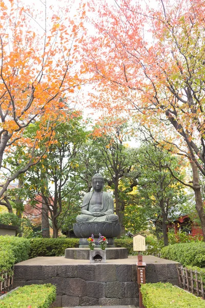 Tokio Japonsko Listopadu 2017 Buddha Parku Blízko Chrámu Stinnou Atmosféru — Stock fotografie