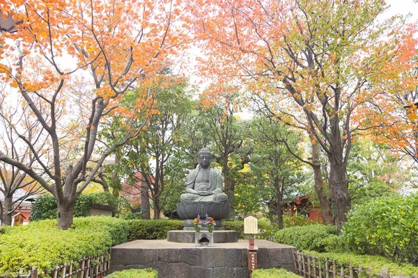 Tokio Japonsko Listopadu 2017 Buddha Parku Blízko Chrámu Stinnou Atmosféru — Stock fotografie