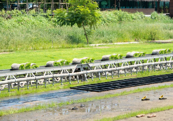 稻田技术生产 这条线路被用来运送该地区的水稻植物 — 图库照片