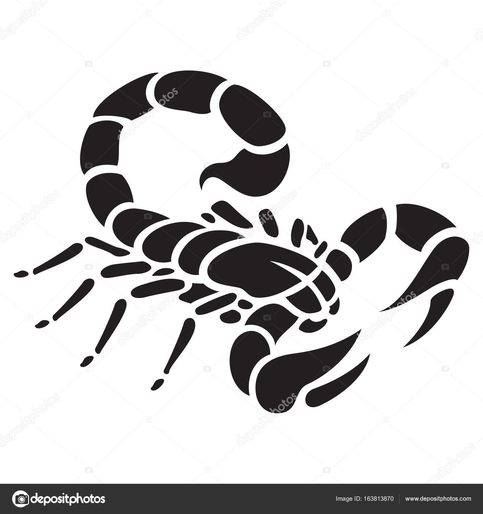 Скорпион векторное изображение