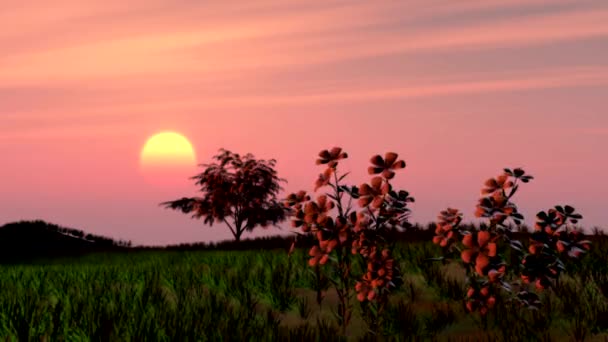 Wind kolysht Blumen und ein Gras — Stockvideo