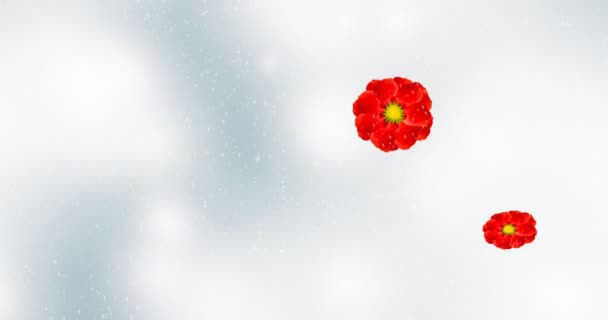 Падение Снежинки Создает Праздничное Настроение — стоковое видео