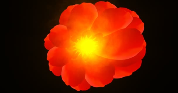 Turbulensi Bunga Menciptakan Gerakan Pada Layar — Stok Video