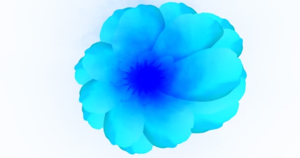 Çiçek Türbülansı Ekranda Hareket Yaratır — Stok video