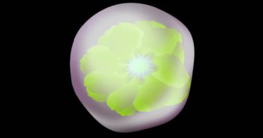 Sıvı Düşüşün Şeklini Değiştirme Canlandırması