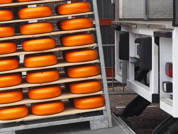 Portador de queso que se transporta en el camiónqueso — Foto de Stock