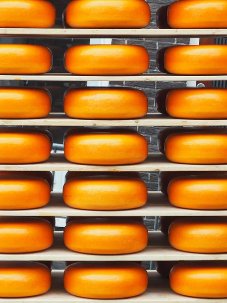 Raflar arka plan beyaz peynir