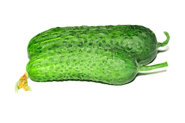 Two fresh cucumber — Stock Photo, Image