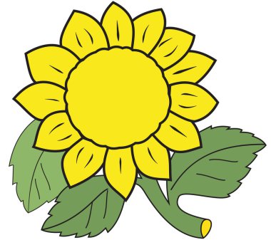 Büyük sarı ayçiçeği