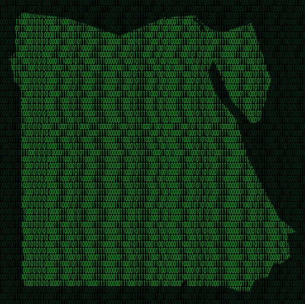 Silhouet van Egypte van binaire cijfers — Stockfoto