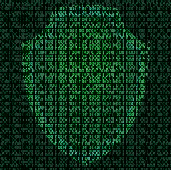 Siber güvenlik kalkanı — Stok Vektör
