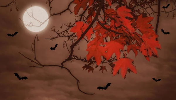 Halloween landscape with moon — Stock Photo, Image