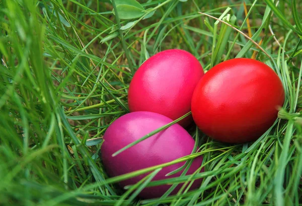 Tres huevos de Pascua de colores — Foto de Stock