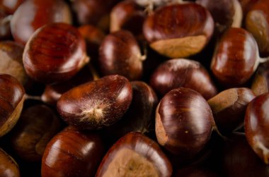 kestane koyu bacground makro