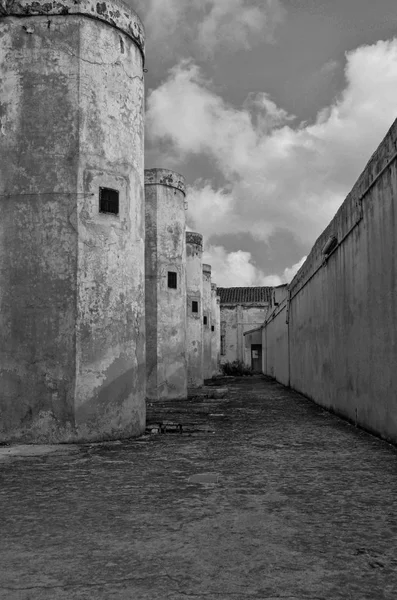 Asinara hapishane arka plan