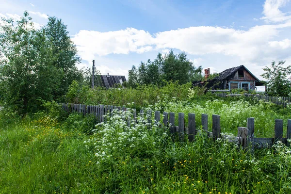 Nord village na léto, květiny, tráva, dřevěný plot — Stock fotografie