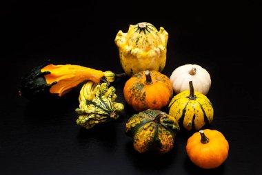 Renkli kabak ve squash