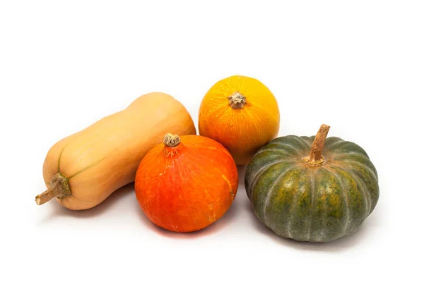 Colorful pumpkin and squash, Red Kuri, Kabocha, Butternut, Spaghetti — Stock Photo, Image