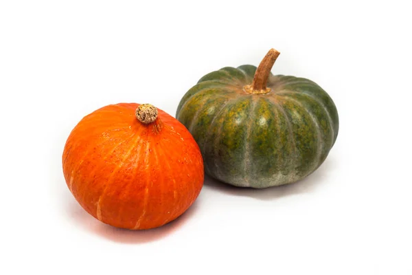 Colorful pumpkin and squash, Red Kuri, Kabocha, — Stock Photo, Image