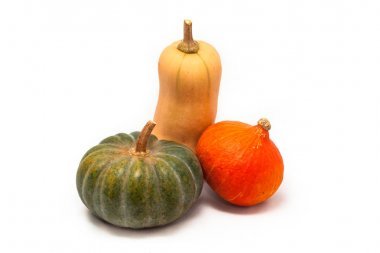 Renkli balkabağı ve kabak, Kırmızı Kuri, Kabocha, Butternut