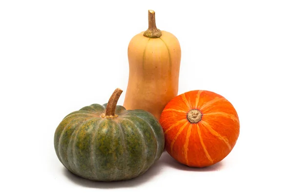 Citrouille et courge colorées, Kuri rouge, Kabocha, Noyer cendré — Photo