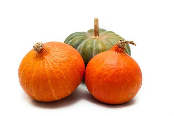 Färgglada pumpa och squash, Red Kuri, Kabocha, — Stockfoto