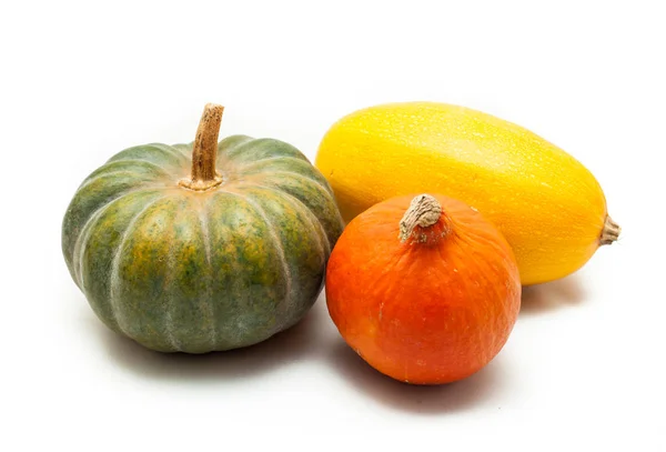 Colorful pumpkin and squash, Red Kuri, Kabocha, Spaghetti — Stock Photo, Image