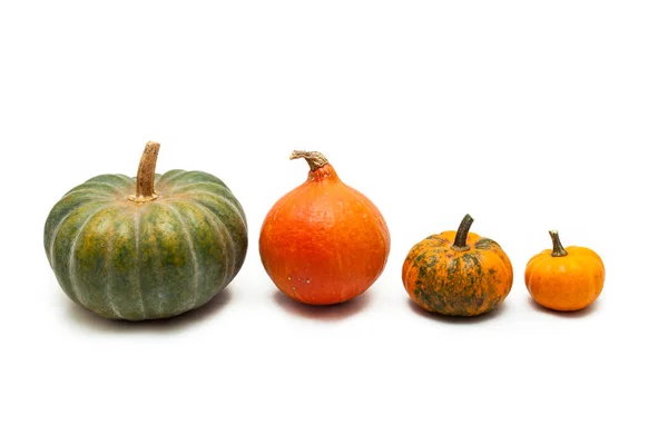 Färgglada pumpa och squash, Red Kuri, Kabocha, — Stockfoto